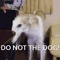 DoNotTheDog
