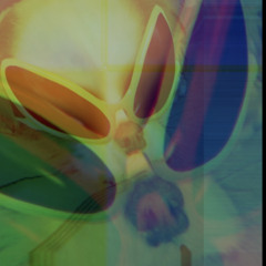 S.E.T