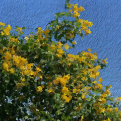 ℎ𝑦𝑒𝑤𝑜𝑛