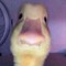Ronald Tump
