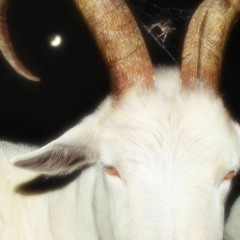 dimelofick/fickyouknow archivos