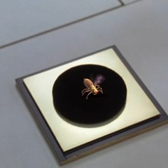 *********₿iltmore Homme Studio [2O46/K47]*********