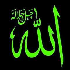 SAYNO2TERRORISM