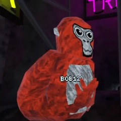 .PY CULT ON TOP FRFR