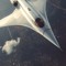 24hr/secL6billion⁸