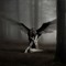 outsider