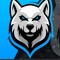 The DJ Wolf 🐺