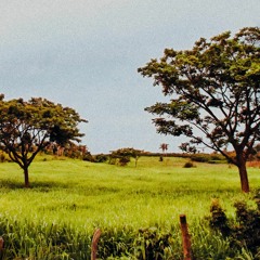 Sessões de Fim de Tarde