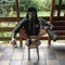 Ruslan_m22
