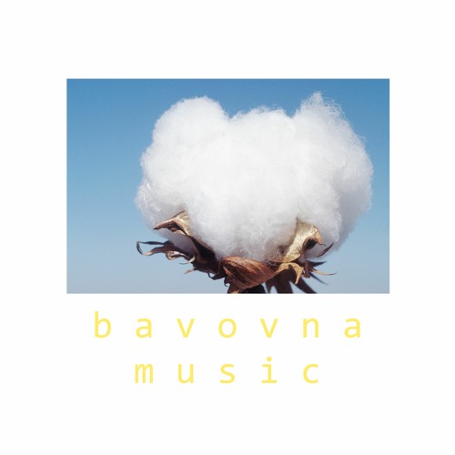 BAVOVNA MUSIC’s avatar