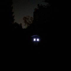 Fireflies?