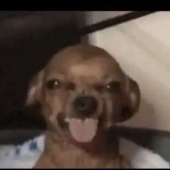 ):