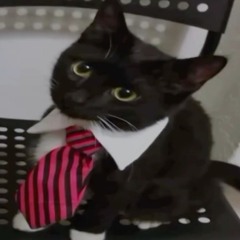 guy on the internet.