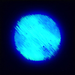 AlePR