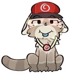 scrappy the fuckin raccoon