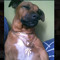 Mattie_tipp_85