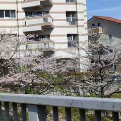 タケデゥー