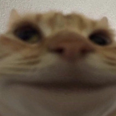 siennachino