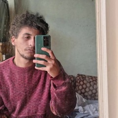 Hamed Mostafa