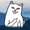 User 48257612