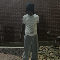 bryce_cant_rapforshii