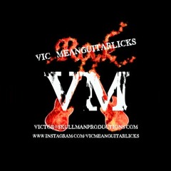 Vic Meanguitarlicks/2Lil2Late