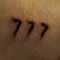 The NTT7