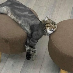 うつり