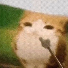 Q-u