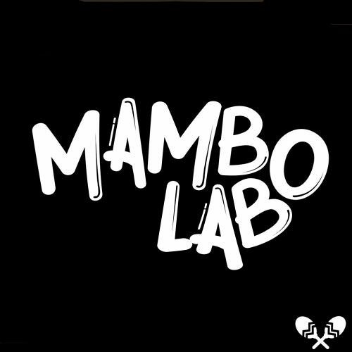 MAMBO LAB artist photo