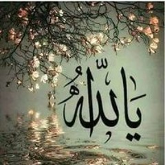 محمد الحسيني