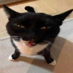 ManDuck