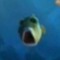 fishrot