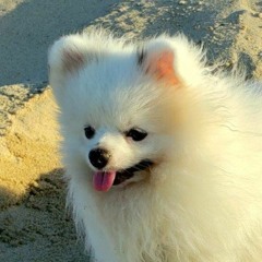Olaf
