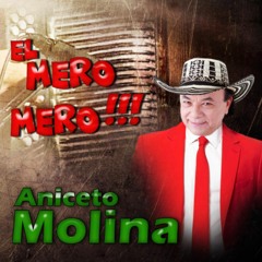 Aniceto Molina