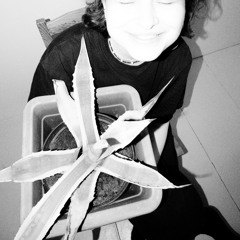 Zyama