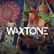 Waxtone
