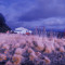 kpo_03