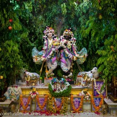 umesh nitai