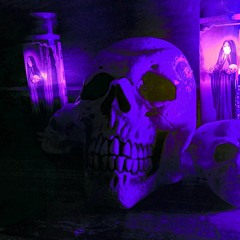 Carnage & The Fiasco