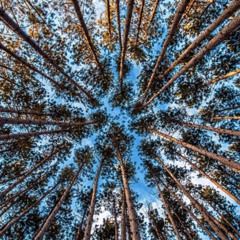 wormholesandmiracles