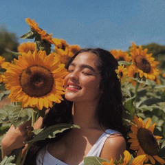 دوّارة الشمس 🌻