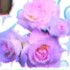 _desbt