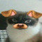 ne