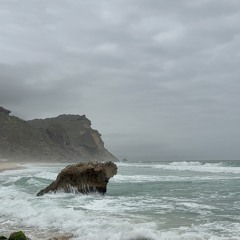 ار