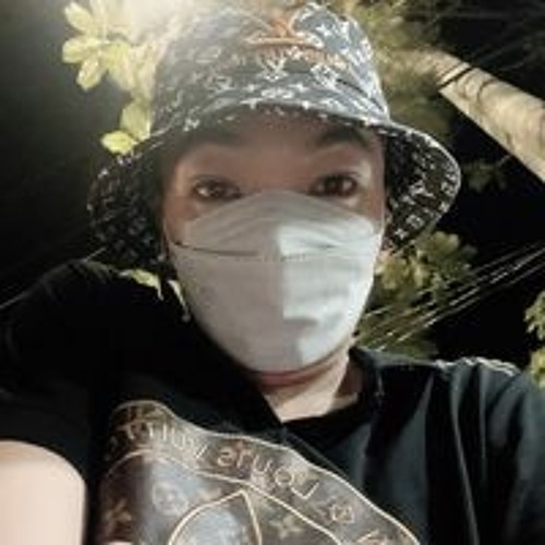 Nguyễn Sĩ’s avatar