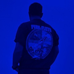 Mj.shamsinejad