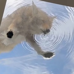 eternal (prod. NewWhiteBoy ,deltovv, centrlx)