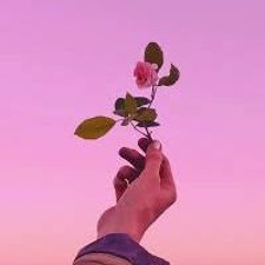 aesthete may