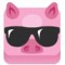 PARTY PIG